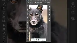 Photoshop Clone Stamp Tool 2 #clonestamptool #photoshoptutorial #shorttutorial #shorts #photoshop