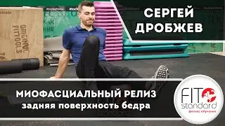 МФР задней поверхности бедра. Сергей Дробжев