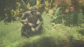 Monkeys Dun gotta Monkey