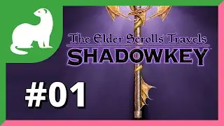 Let's Play The Elder Scrolls Travels: Shadowkey Part 1 — I'm a human tank!