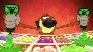 Zig & Sharko 🤮😵 2 KINDS OF POISON 🤮😵 2021 COMPILATION 💥 Cartoons for Children