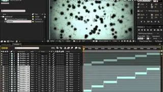 Импорт S-Vegas проектов в After Effects