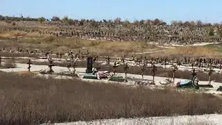 Старокрымское кладбище