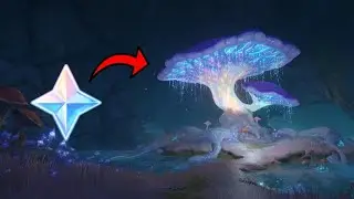 primogems you DEFINITELY missed from the chasm (Genshin Impact)