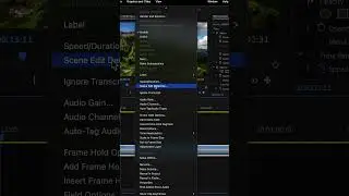 Scene Detection Cuts in Premiere 