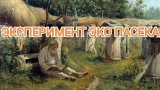 ЭКО ПАСЕКА 2023. СОСТОЯНИЕ СЕМЕЙ НА 25.03.23. БУДЕМ ДЕЛАТЬ ЭКО МЁД 🍯🍯🍯.