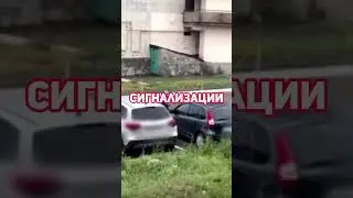 В Башкирии пенсионерка отпиздила тростью припаркованные во дворе автомобили #топор #shorts#новости
