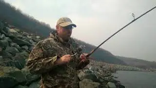 Лов минтая во Владивостоке