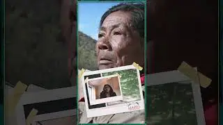 Un mensaje para los científicos de la 