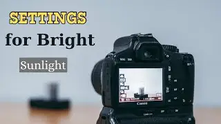 Best Settings to Take Photo on Sunlight with DSLR 😱