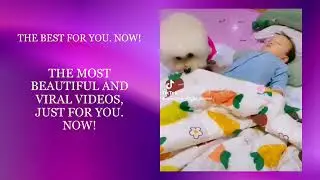 💖💥😘💯  * The Best For You.Now ! * @the_best_viral_video_creator  🥰 💯 #viral video 😘💕💯 #video viral 💫😃