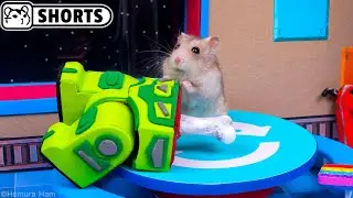 Hamster vs Impostor in the Among Us Maze - The Skeld 
