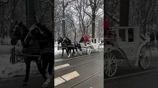 Horse carriage in Krakow Poland 🇵🇱 (December 2023) ❄️🎅🏻🌨️🎄
