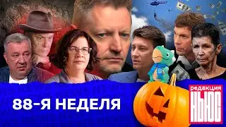 Редакция. News: 88-я неделя