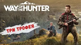 Путь охотника - Побережье АВРОРЫ.  Лось.  Карибу.  Степной БИЗОН # 15
