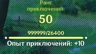 MILLION ADVENTURE EXPERIENCE IN GENSHIN IMPACT