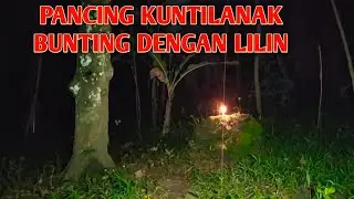 ADA BAYI KUNTI YANG SERING DIGENDONG INDUKNYA