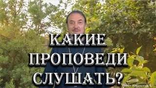 Интернет блогосфера: каких проповедников слушать, а каких - нет.