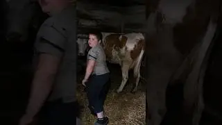 Деревенская семья держит всё хозяйство . 