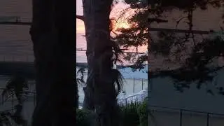 вечерний сочи