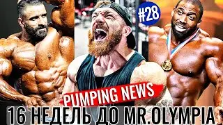 МИСТЕР ОЛИМПИЯ 2020 - 16 Недель ДО - Подготовка и Форма Участников