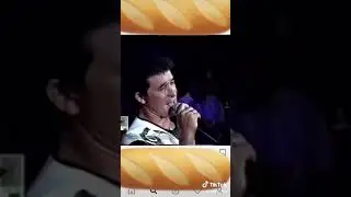 Салават фатхетдинов