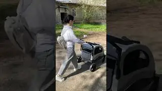 Чернуша гуляет в колясочке 😍 
