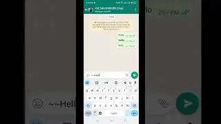 How to Bold, Italic and Underline Text in WhatsApp 