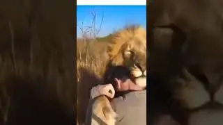 Всем мира и гармонии!