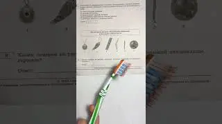 Водоросли - это не только ценный источник йода, но и масса, способная очистить сточные воды! 