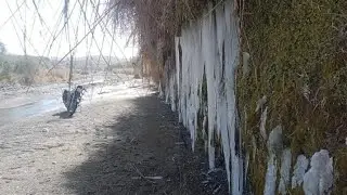 Kora, cold wave in south Punjab