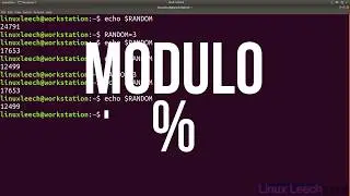 Random Number Variable in BASH - Linux Commands