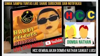 Giliran HCC yang gembalakan domba tengah malam lucu banget