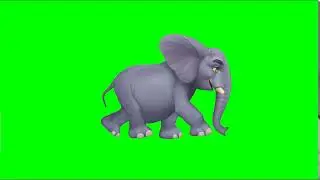 Elephant Green Screen Animation