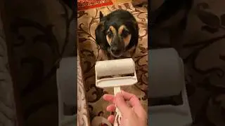 Люся идет в несознанку😁 