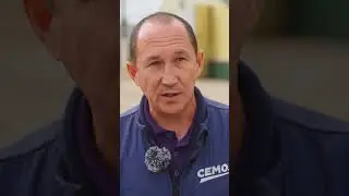 Как племзавод сохраняет жизнь на селе? 