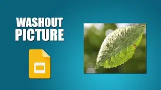 How to washout a picture in google slides