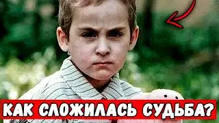 Как сложилась судьба Ивана Мишукова, который прожил в стае собак все время?