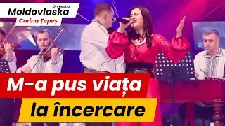 M-a pus viața la-ncercare - Corina Țepeș & Orc. Moldovlaska