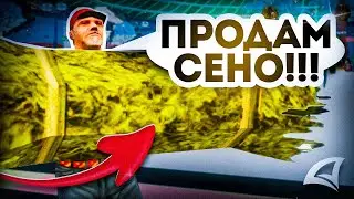 НАНЯЛ БОМЖА ДЛЯ ПРОДАЖИ СЕНА НА АРИЗОНА РП В ГТА САМП