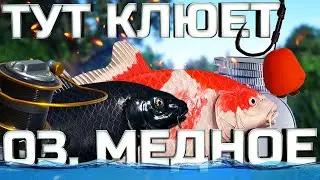 ЛУЧШИЕ ТОЧКИ НА МЕДНОМ ОЗЕРЕ ДЛЯ ФАРМА В РР4!