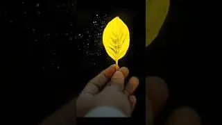 Glow Effect || Best Snapseed Tutorial || #shorts