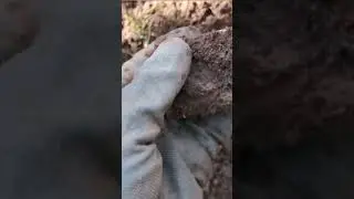 СНОВА ФАРТАНУЛО НА КОПЕ 