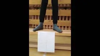 Гибкость Участник 4 Мирненская школа