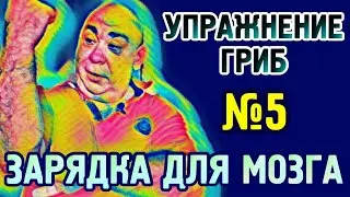 №5 