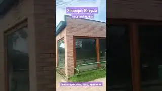 Зоопарк в Батуми | Переезд в Батуми | Лето в Грузии