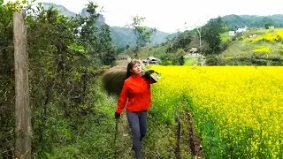 How To Make Broom Process, Free Building Farm Life | New Free Bushcraft