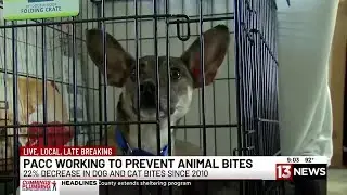 Animal bites down by 22% at Pima Animal Care Center