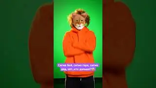 СИГМА КОТ УЖЕ ВЕЗДЕ😱