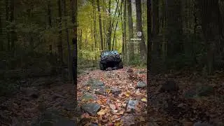The IAG I-Line Bull Bar With Integrated Winch Mount